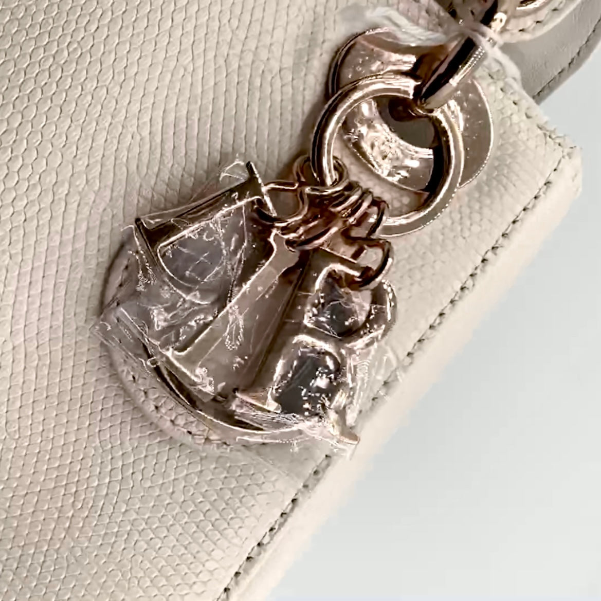Christian Dior Metallic Olive Lizard Chain Mini Lady Dior Bag  The Closet