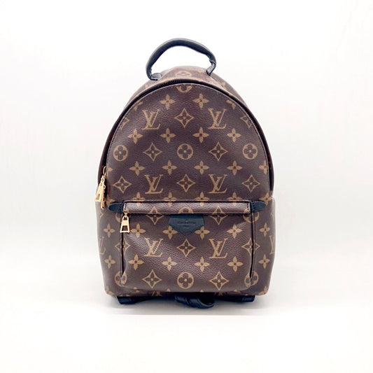 Louis Vuitton LV Palm Springs Backpack Small