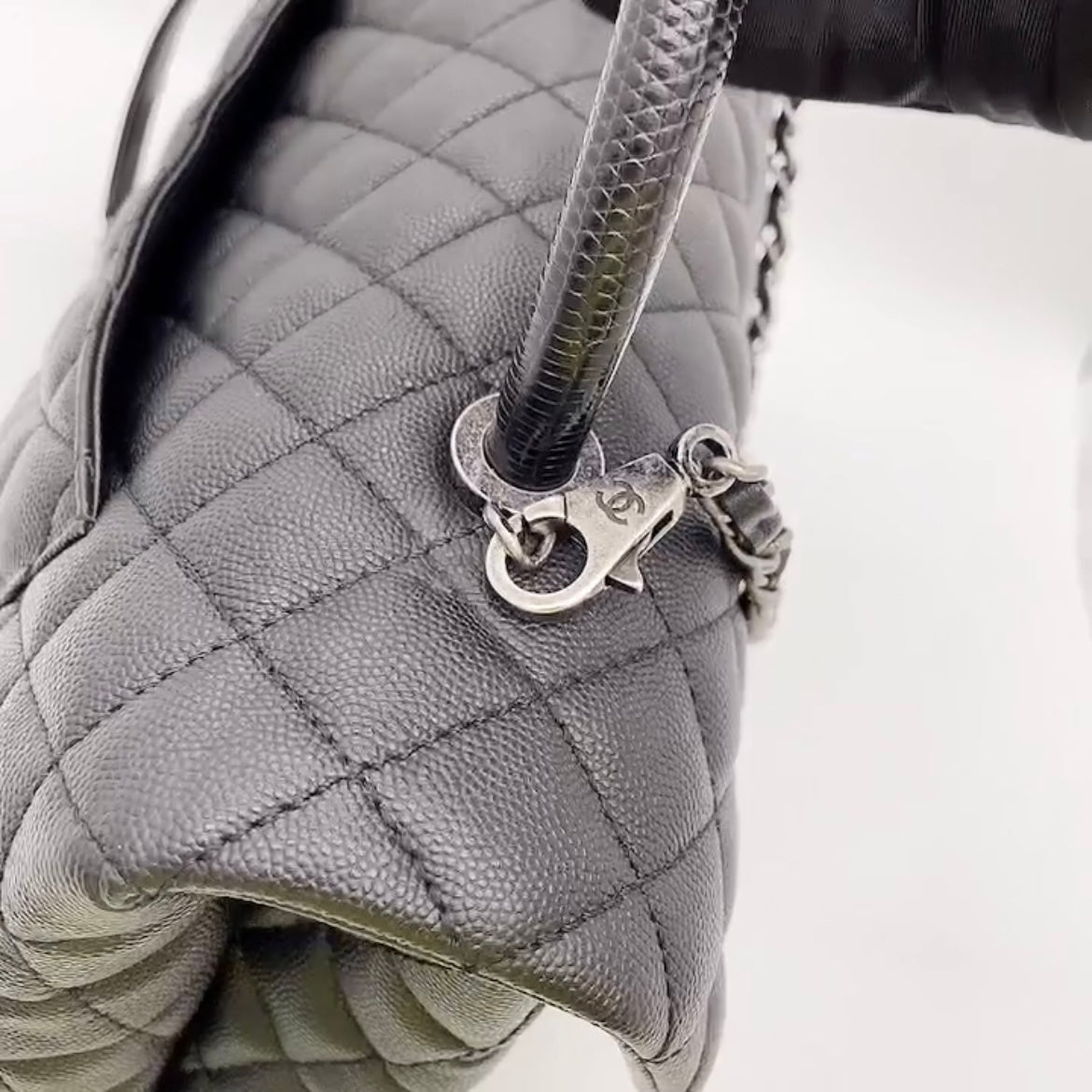 Chanel BANS crocodile and lizard skin from its collections – but